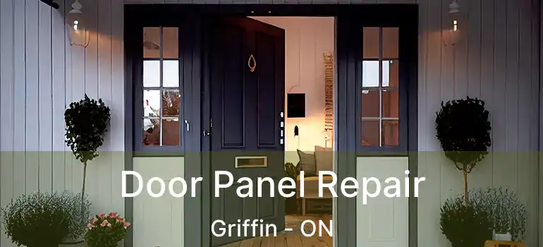  Door Panel Repair Griffin - ON