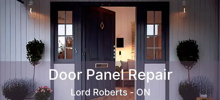  Door Panel Repair Lord Roberts - ON
