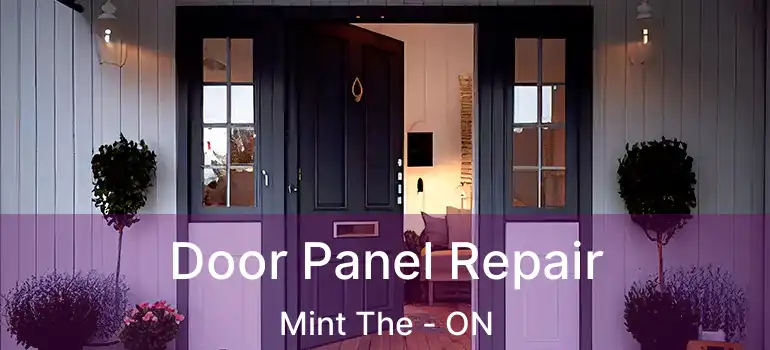  Door Panel Repair Mint The - ON