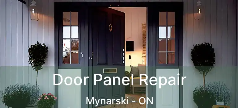  Door Panel Repair Mynarski - ON