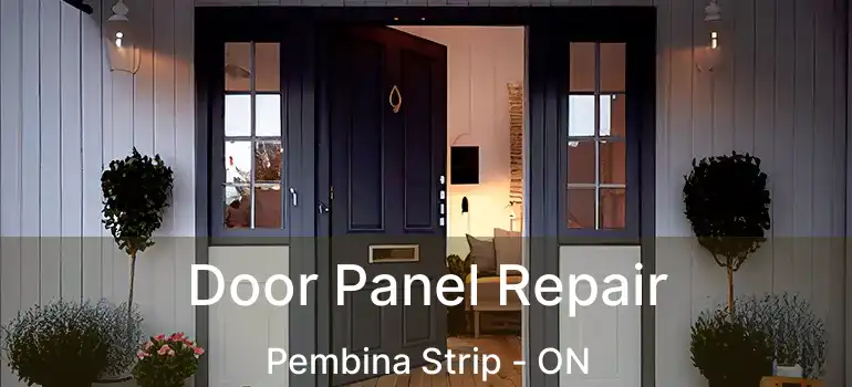  Door Panel Repair Pembina Strip - ON