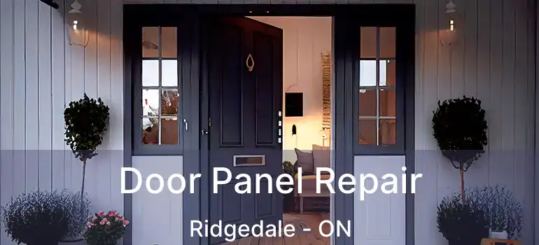  Door Panel Repair Ridgedale - ON