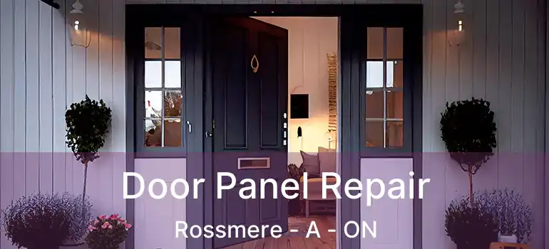  Door Panel Repair Rossmere - A - ON