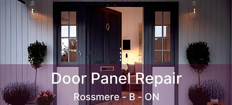  Door Panel Repair Rossmere - B - ON