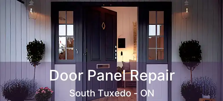  Door Panel Repair South Tuxedo - ON