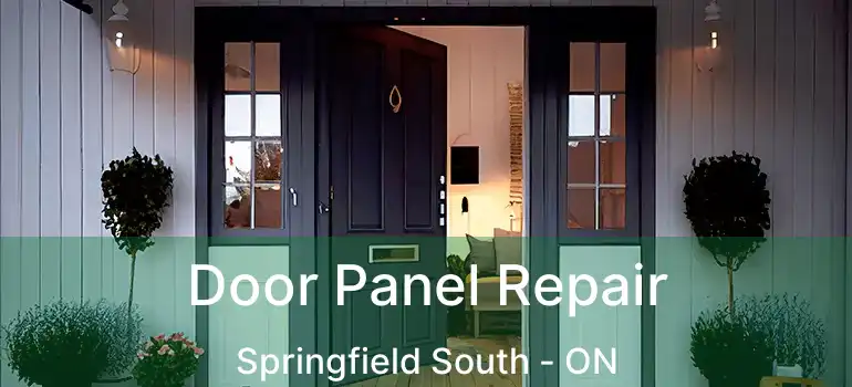  Door Panel Repair Springfield South - ON
