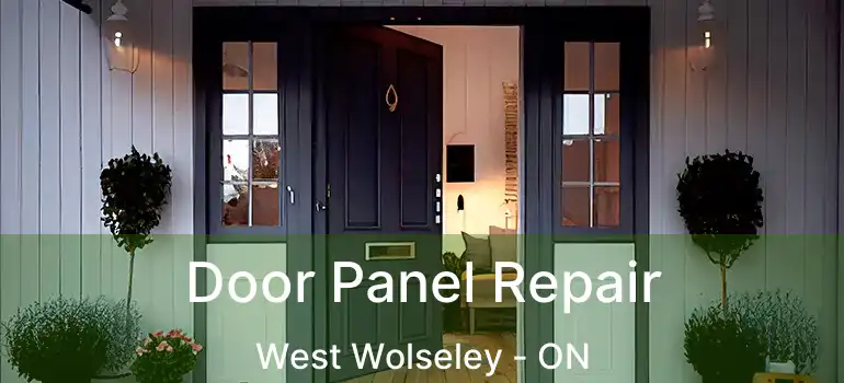  Door Panel Repair West Wolseley - ON