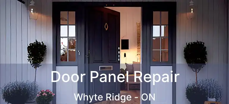  Door Panel Repair Whyte Ridge - ON