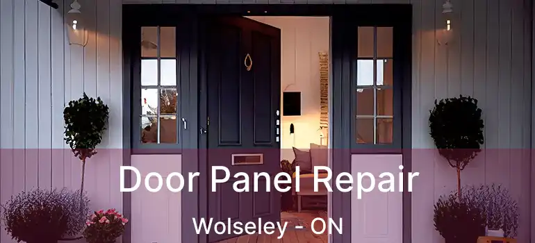  Door Panel Repair Wolseley - ON
