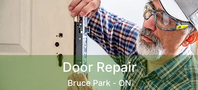  Door Repair Bruce Park - ON