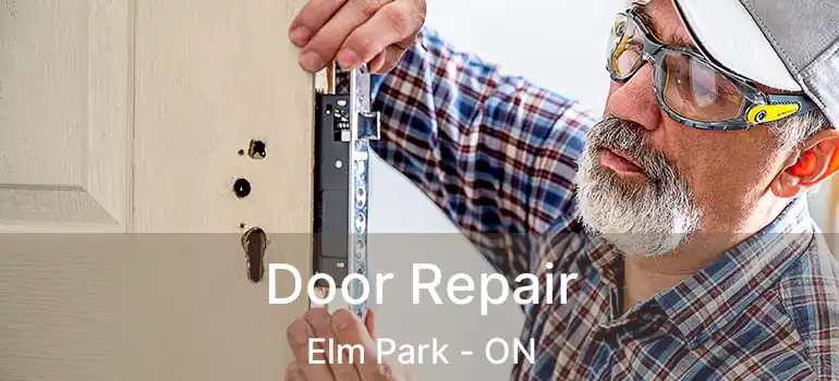  Door Repair Elm Park - ON