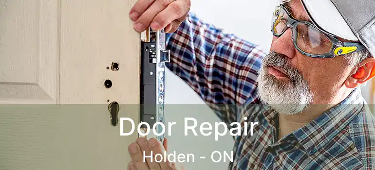  Door Repair Holden - ON