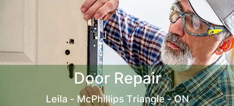  Door Repair Leila - McPhillips Triangle - ON