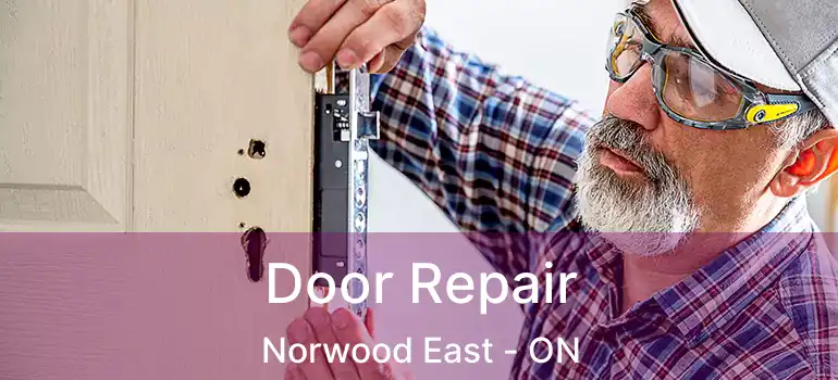  Door Repair Norwood East - ON