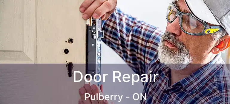  Door Repair Pulberry - ON