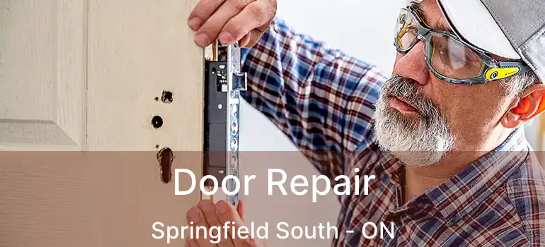  Door Repair Springfield South - ON