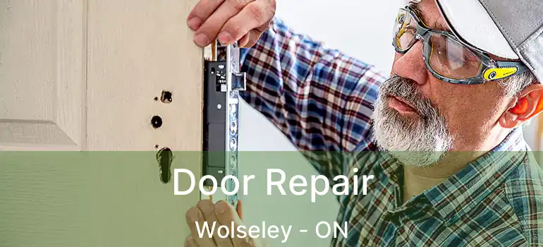  Door Repair Wolseley - ON