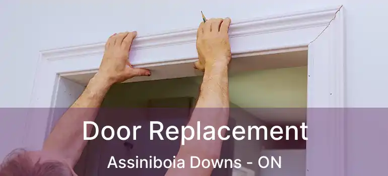  Door Replacement Assiniboia Downs - ON