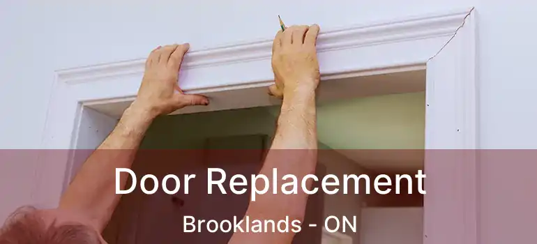  Door Replacement Brooklands - ON