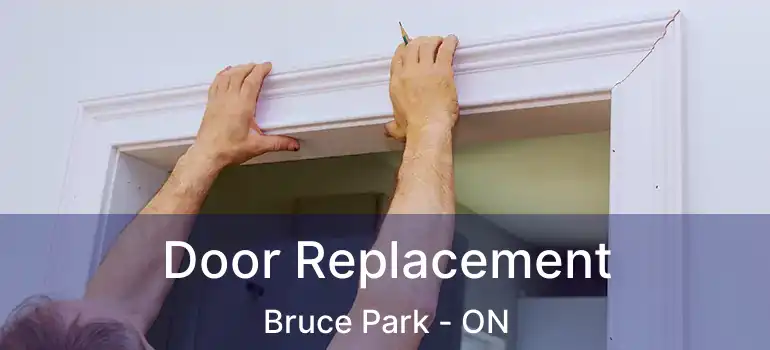  Door Replacement Bruce Park - ON