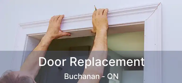  Door Replacement Buchanan - ON