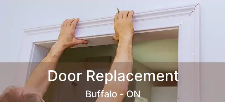  Door Replacement Buffalo - ON