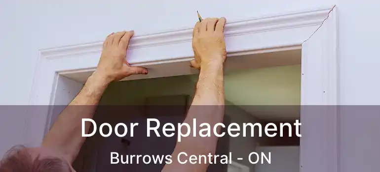 Door Replacement Burrows Central - ON