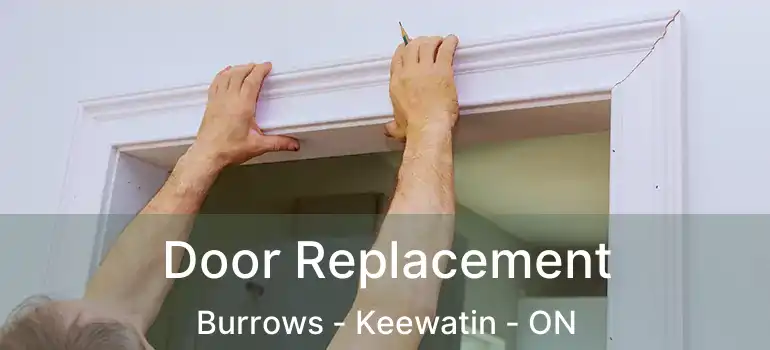  Door Replacement Burrows - Keewatin - ON