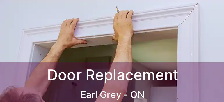  Door Replacement Earl Grey - ON