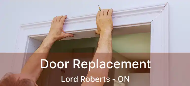  Door Replacement Lord Roberts - ON