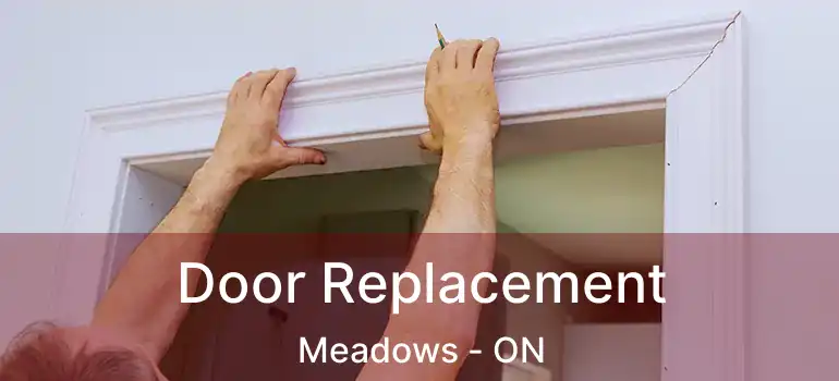  Door Replacement Meadows - ON