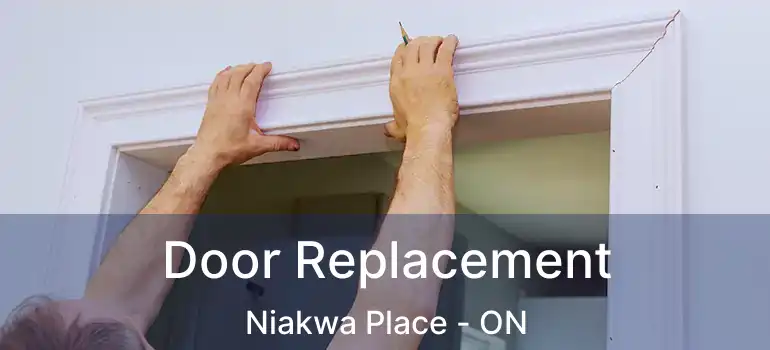  Door Replacement Niakwa Place - ON