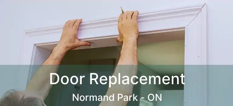  Door Replacement Normand Park - ON