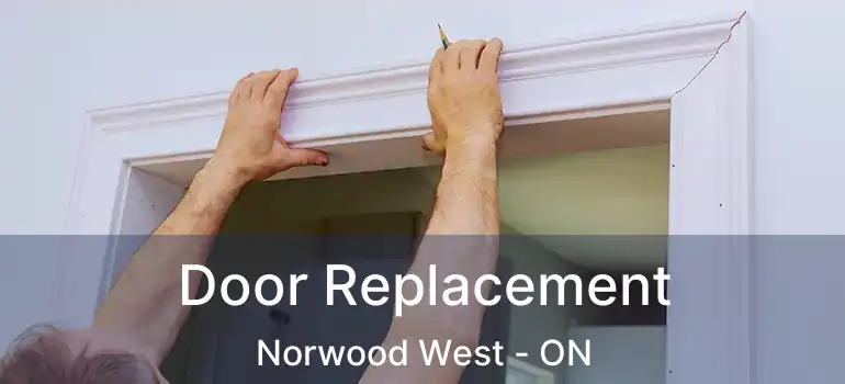  Door Replacement Norwood West - ON