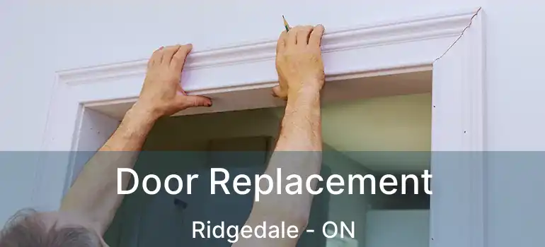  Door Replacement Ridgedale - ON
