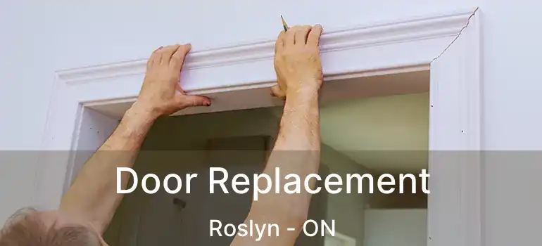  Door Replacement Roslyn - ON