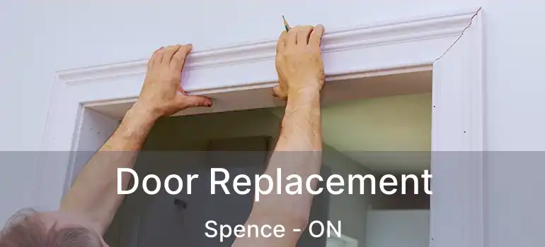  Door Replacement Spence - ON