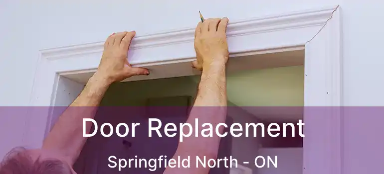  Door Replacement Springfield North - ON