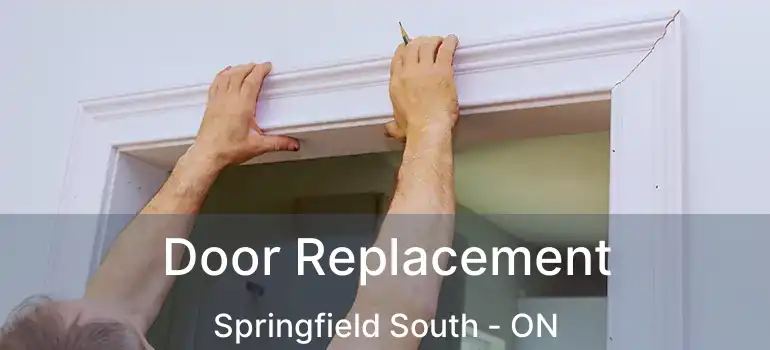  Door Replacement Springfield South - ON