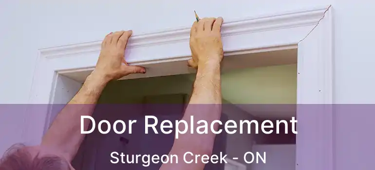  Door Replacement Sturgeon Creek - ON