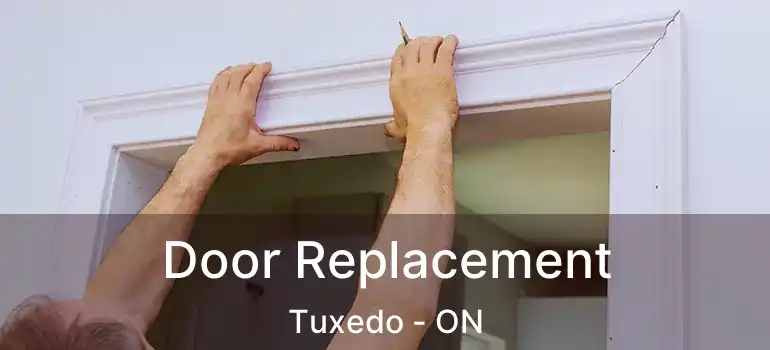  Door Replacement Tuxedo - ON