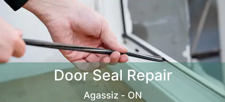  Door Seal Repair Agassiz - ON