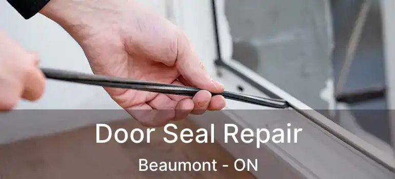  Door Seal Repair Beaumont - ON