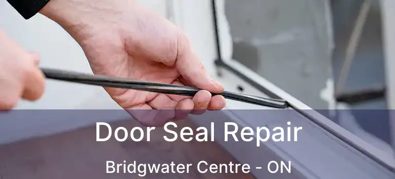  Door Seal Repair Bridgwater Centre - ON