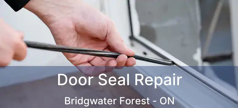  Door Seal Repair Bridgwater Forest - ON