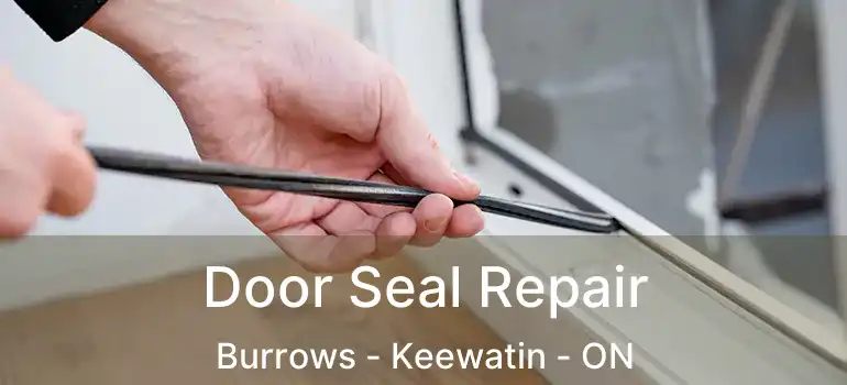  Door Seal Repair Burrows - Keewatin - ON