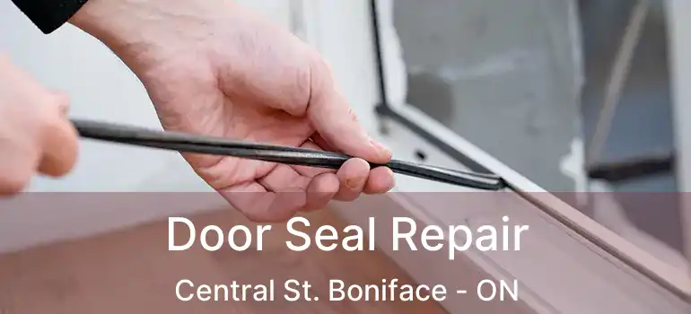  Door Seal Repair Central St. Boniface - ON