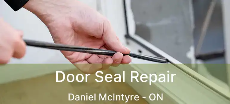 Door Seal Repair Daniel McIntyre - ON
