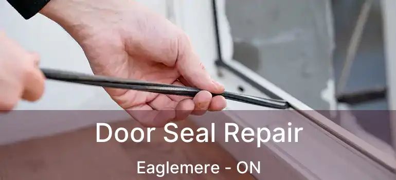  Door Seal Repair Eaglemere - ON