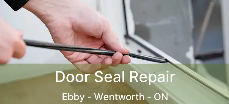  Door Seal Repair Ebby - Wentworth - ON
